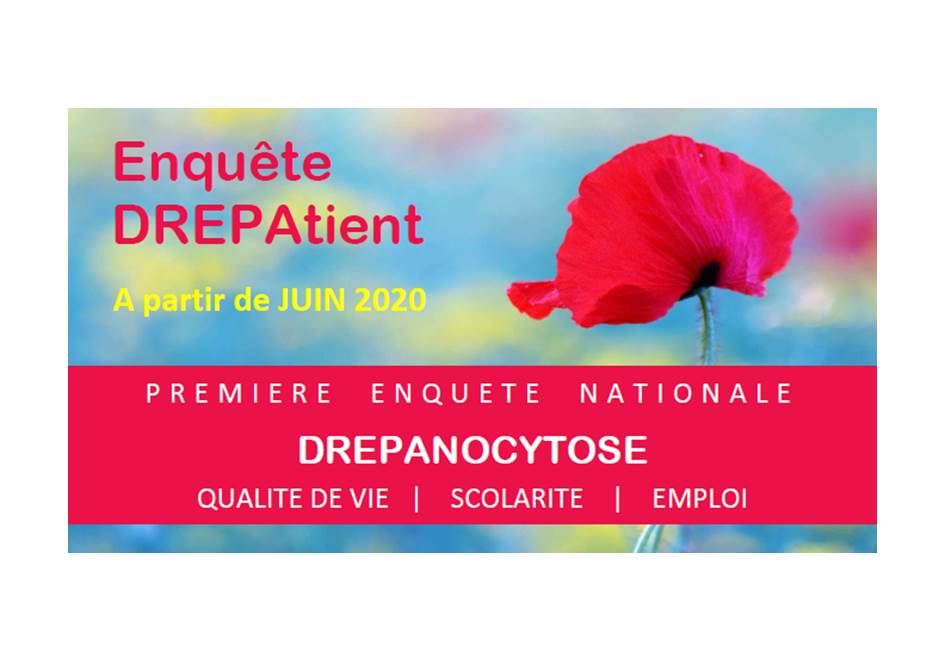 Grande enquête nationale DREPAtient - Qualité de vie, scolarité, emploi