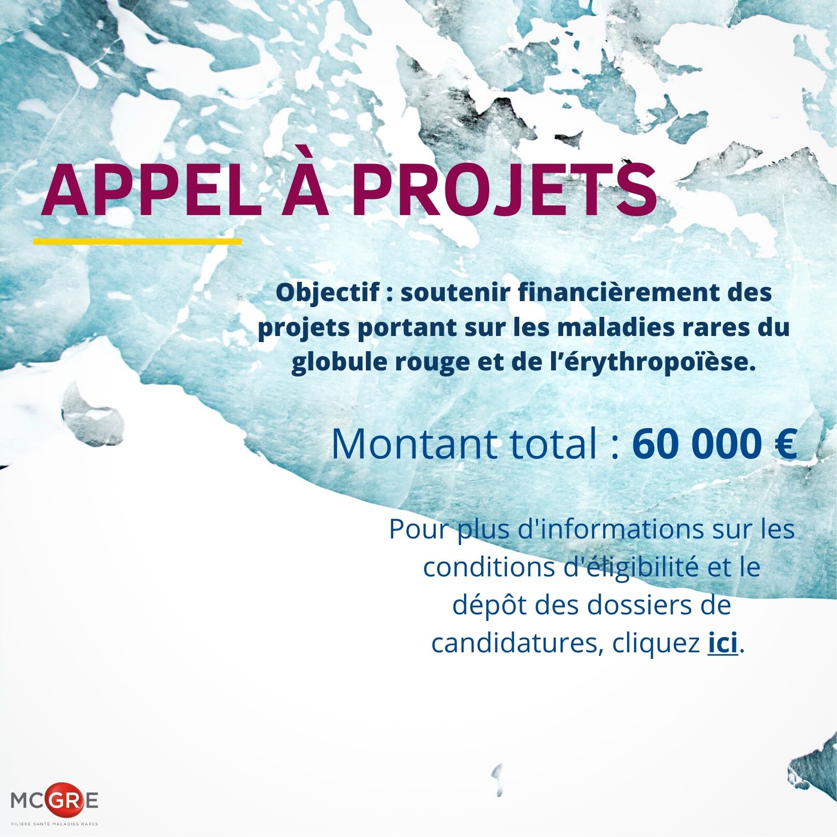 Appel à projets