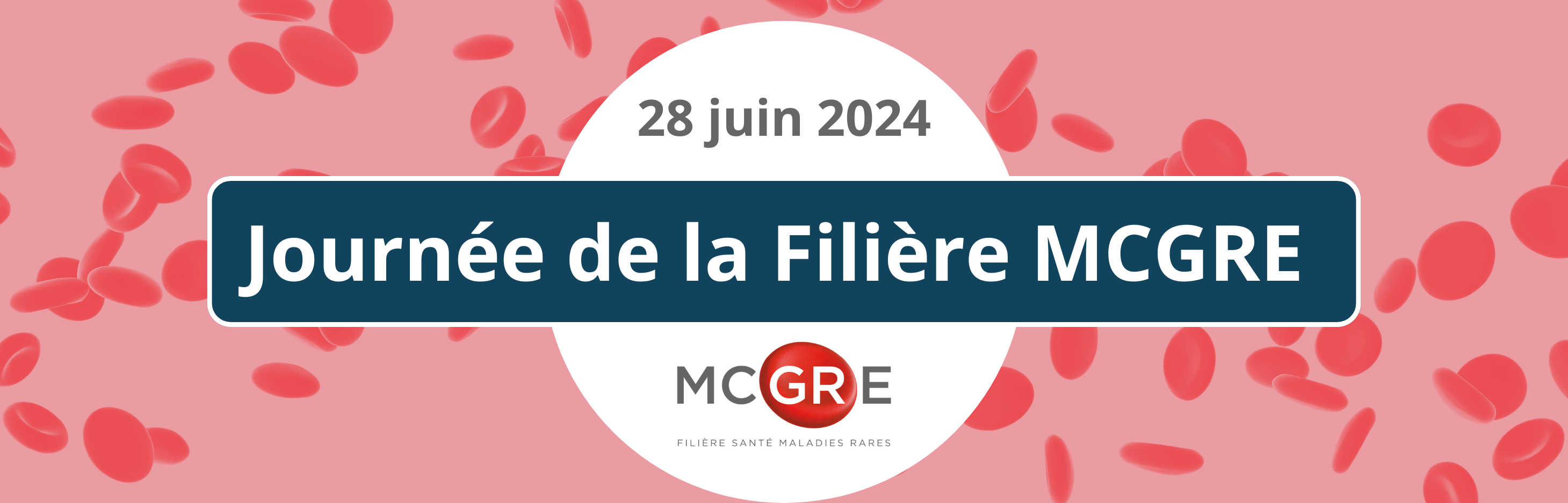 journée de la filière MCGRE juin 2024