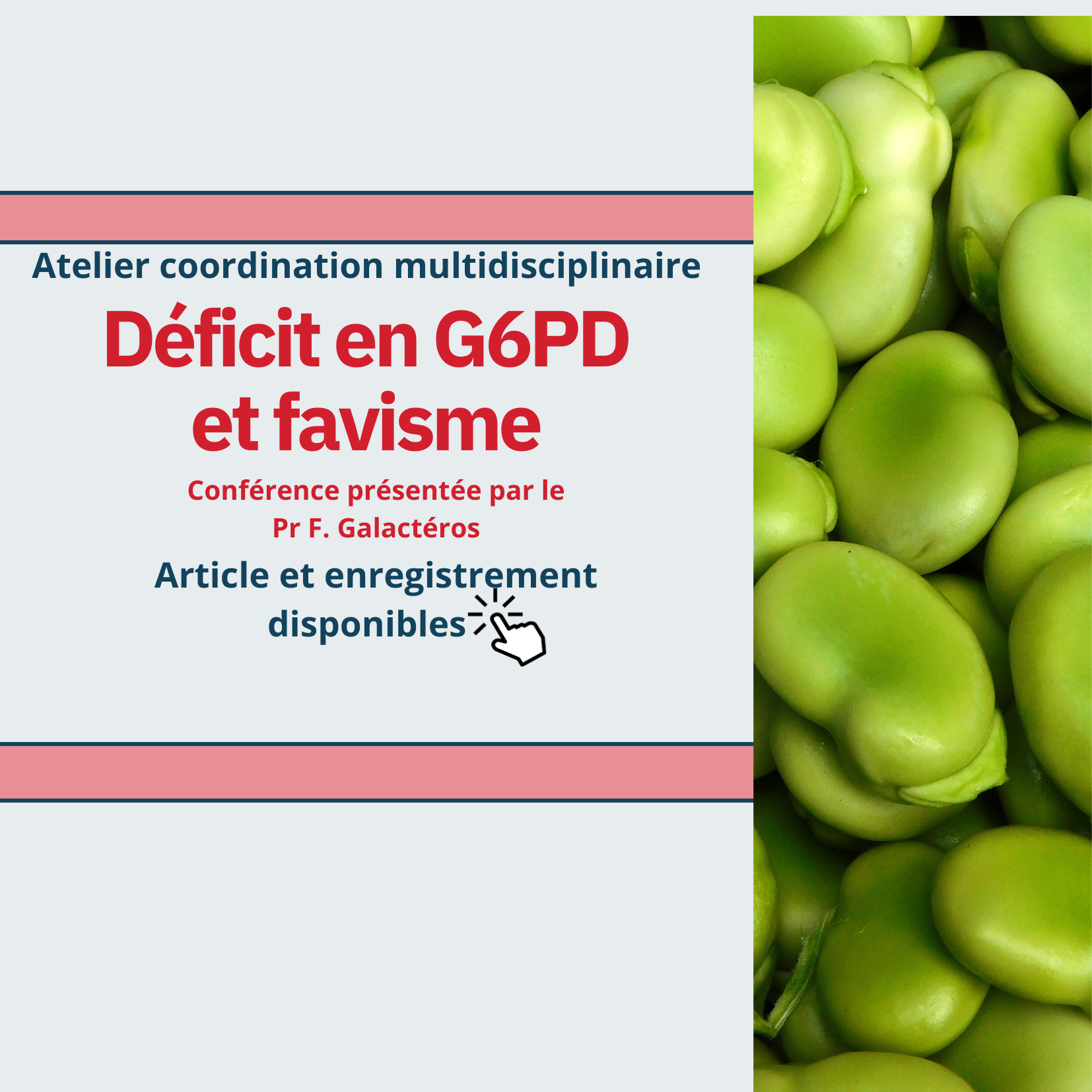 Atelier : Déficit en G6PD - Enregistrement disponible ! 